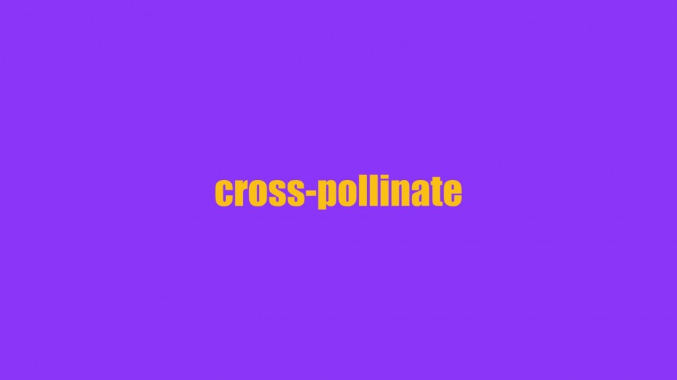 cross-pollinate